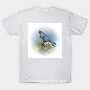 Hawk T-Shirt